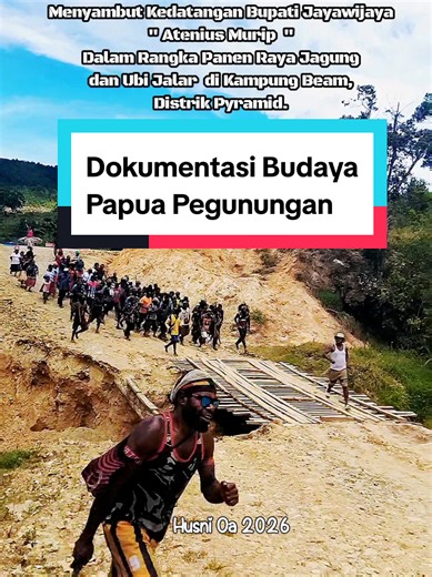 Dokumentasi Budaya Papua Pegunungan. Pesta Rakyat & Panen Ubi Jalar Papua Pegunungan 🌿 Dokumentasi budaya dalam rangka penyambutan Bupati Jayawijaya dan panen raya masyarakat. Senjata tradisional yang digunakan merupakan bagian dari upacara adat dan simbol kehormatan dalam budaya Papua, bukan untuk kekerasan. Warisan leluhur ini terus dijaga sebagai identitas dan kebanggaan masyarakat pegunungan Papua. Wamena, 7 Pebruari 2026 #budayapapua #budayaindonesia #papuapegunungan #masukberanda #fyppppp