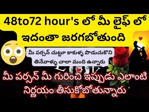 💯❤️😱48 to72 hour's లో మీ పర్సన్ మీ గురించి ఇప్పుడు ఎలాంటి నిర్ణయం తీసుకోబోతున్నారు❤️‍🔥