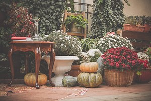 Transition Your Home for Fall with 15 Tasteful Decor Tricks
