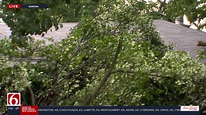 21K views · 92 reactions | Storms rolled through Ramona overnight, knocking down trees, damaging property and cutting power to hundreds of homes. Crews and residents are just beginning to assess the damage. News On 6's Jonathan Polasek is in Ramona with the latest details. ⬇️  https://www.newson6.com/story/6852a635ca5f7e7ec53d1aa1/overnight-storms-cause-tree-and-property-damage-in-ramona?utm_medium=social&utm_source=facebook_KOTV_-_News_On_6 | KOTV - News On 6 | Facebook
