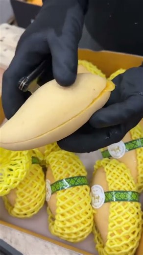 insane quality of mango from Thailand world unique mango 🥭