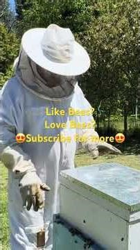 Not Swarming… But I STILL Move Slowly for This Reason 😬🐝 | Beekeeping