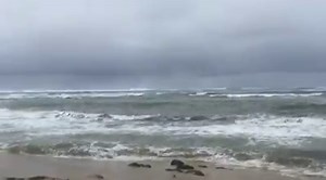 20K views · 1.1K reactions | Waves expected to be in the 40 foot range tomorrow. Please be safe. Yesterday I saw a family enjoying the beach at sunset and mom got too close to the shore beak and a big wave came, knock her down and got her soaked. Dad had to come and hold her before she got dragged for an unexpected swim. We see it all the time. Respect the ocean It's powerful! Aloha! Www.oceandefenderhawaii.com | OCEAN DEFENDER - Hawaii | Facebook