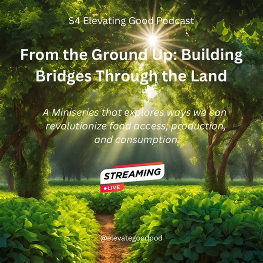 Live streaming now on Spotify, Apple Podcasts, and subscribe on Substack! | Elevating Good Podcast | Facebook