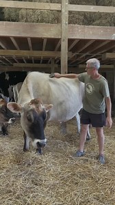 So great to spend some time brushing cows at Farm Sanctuary. | Gene Baur