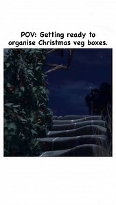 Christmas veg boxes are the most complicated, the box itself is simple, but there’s lots changes, requests, new orders and a whole world of logistics and planning that extend forward into the new year. There’s also an added pressure, there’s a lot of people relying on us to deliver what they need for the perfect Christmas dinner…I hope we get it right! | Sunshine and Green