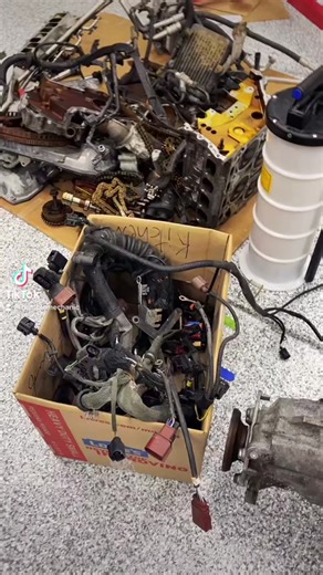 TikTok - Make Your Day