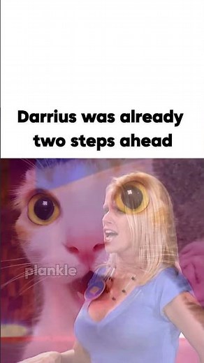 #catmemes