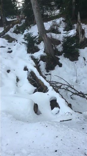 His helmet fell so she went down there