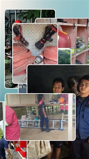 evakuasi ular berjenis piyton