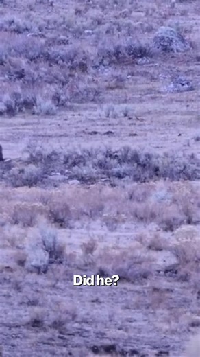 “This could end very badly for that guy.” A man was lucky to survive after approaching a pack of wolves in the middle of Yellowstone National Park, as seen in wild video by horrified bystanders. 😧 | New York Post Health & Parenting