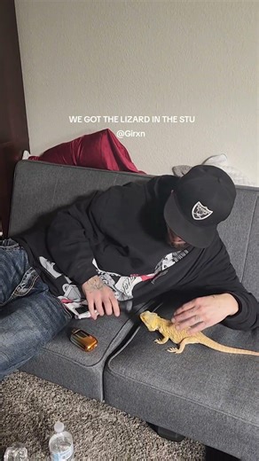 how #foos get the #lizard in the #studio ??? 🗣🦇🇲🇽🔥🕸🕸🔥 #follow @girxnhda