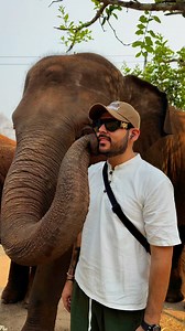 9.8K views · 293 reactions | Tawan Riverside Elephant Resort | Bank Mahout | Facebook