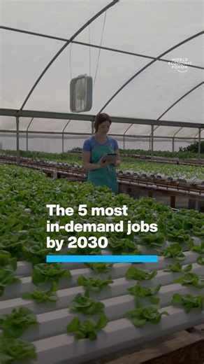 1K views · 21 reactions | Which roles will surge in demand by 2030, and which skills are employers prioritizing? The World Economic Forum’s Future of Jobs Report 2025 highlights five forces set to drive a net gain of 78 million jobs by 2030. Based on insights from 1,000+ companies employing 14 million+ workers, it maps emerging and declining roles, skill shifts, and the shape of the labour market ahead. Read the report: https://ow.ly/uGlf50WvlE3 | Global Shapers | Facebook