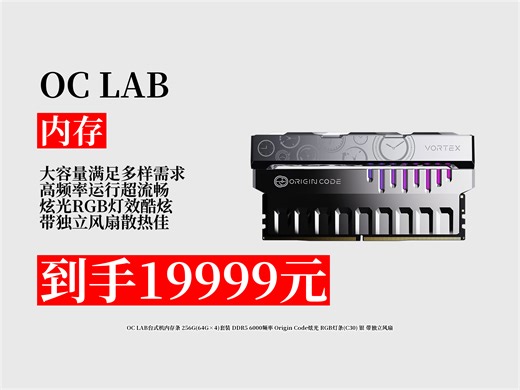 【内存推荐】台式机内存条怎么挑？19999元拿下OCLAB256G套装，DDR56000频率，RGB灯条超酷炫！