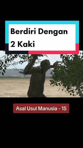 From Ardipithecus Ramidus to Modern Humans: The Evolutionary Journey