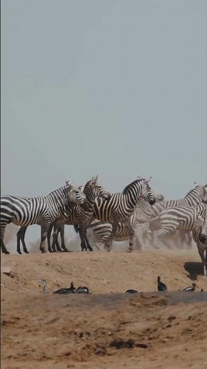 Is Narok the BEST Safari Destination in Kenya?