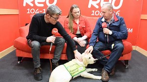 11K views · 54 reactions | WE REVEAL THE NAME OF OUR IRISH GUIDE DOG Brian and Louise are part of the Kenna family who are raising our sponsored Irish Guide Dogs for the Blind called in to studio to Dave Mac to find out the official name of the beautiful puppy! | Cork's Red FM | Facebook