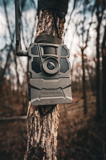 REVEAL by Tactacam on Instagram: "November is a special time of year. 🎥 .// @nickkocks"