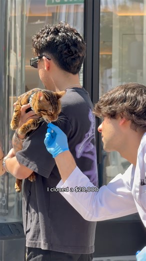 22K views · 183 reactions | Cloning a 20,000$ Exotic Cat In A DNA Laboratory溺良 | Coby Persin | Facebook