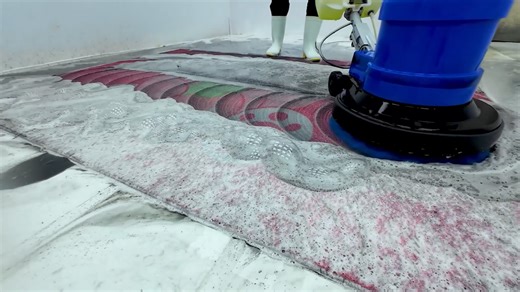 Powerful Foam Scrubbing Reveals Hidden Carpet Colors