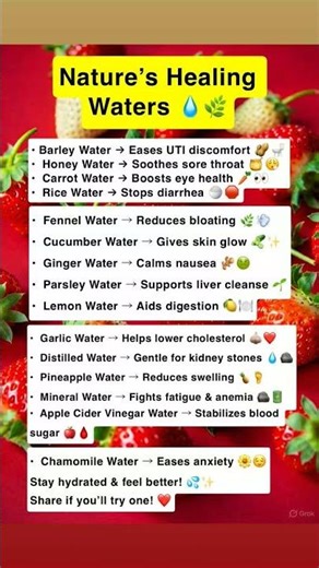 🌊 Nature’s Healing Waters