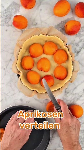 Rezept für Aprikosen Kuchen, so fruchtig saftig 🧡☀️