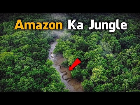 Amazon: The World's Deadliest Jungle