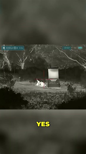 Headshot! Watch this epic hog hunting killshot in the dark! #shorts