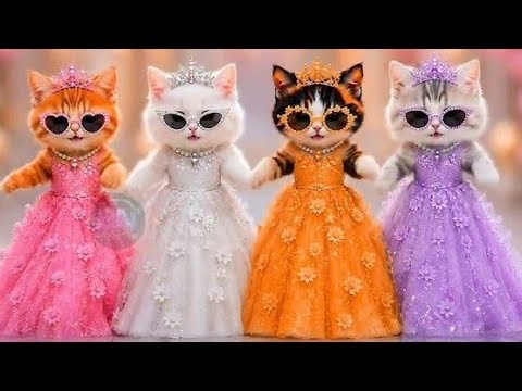 billi ka dance video | Cat videos | funny cat dance 😻💃| Videos for cats billi dance |