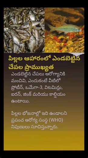 Small Fish, Big Health Benefits | Why WHO Recommends Eating Small Fish