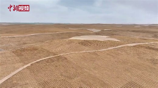 Recently, at a desertification control project site in Golmud, #Qinghai, tens of thousands of mu of shifting sand dunes have been firmly locked in place by straw checkerboard barriers. The project employs fully automatic straw-pressing machines and other mechanized equipment, increasing desertification control efficiency by five times compared to manual labor, with an average daily treatment area of 2,300 mu. #ChinaTech