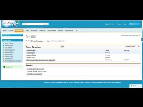 Salesforce Campaign Members and ROI Reporting