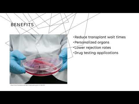 3D Bioprinting (Step 2)