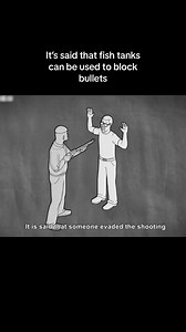 4.4M views · 47K reactions | It’s said that fish tanks can be used to block bullets #facts #fyp #mythbusters #science #test #rumor #interestingfacts | Interesting Facts | Facebook