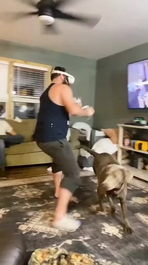 Who is catching the hands today 🤣 Vr Fails #vrfails #vr #viraltiktok #tiktokshorts #fypage #funnyfails #viral #fyp