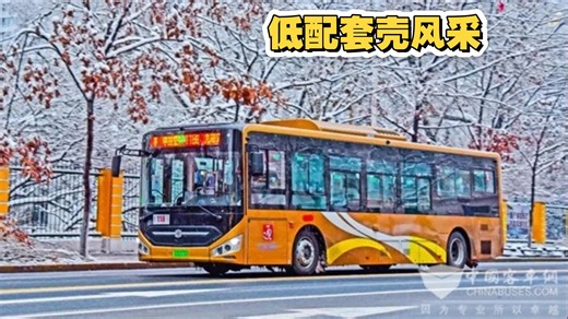 【曾经烧过两台，电机异响的丐版套壳风采】哈尔滨公交118路中通N10（LCK6108EVG3A18）运行实录