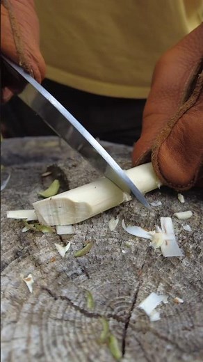 How to Carve a Whistle