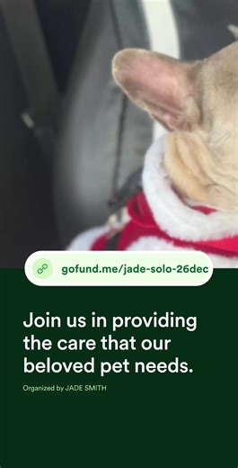 Emergency Fundraiser for Simba's Health Needs