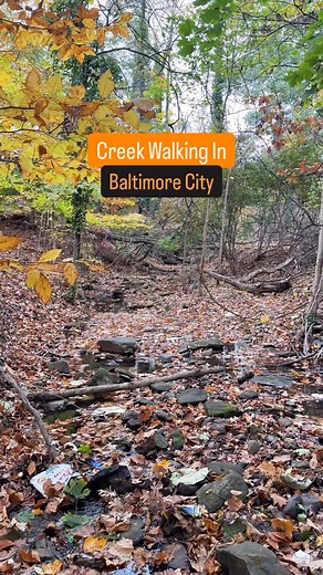 You never know what you’ll find hidden in the woods in Baltimore City! I was out doing some location scouting for an event I’m hosting in 2026, and came across this cool Conch shell in the middle of the woods! The conch was likely someone’s lunch or dinner from the late 1800s when merchants would sell fresh seafood caught in the Caribbean at the various markets around Baltimore’s harbor. 🐚 | Salvage Arc
