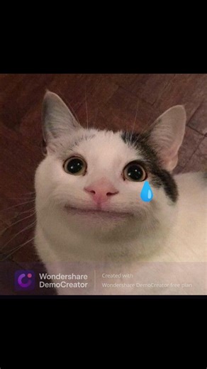 Now isn't that true? | Scratch Programming | #coding ₹scratch