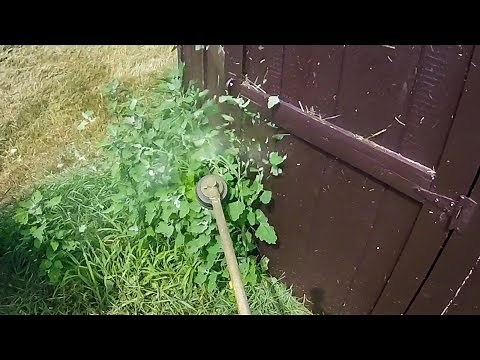 How to Weed Whack Trim Tall Grass | Stihl Trimmer | Weed Eating