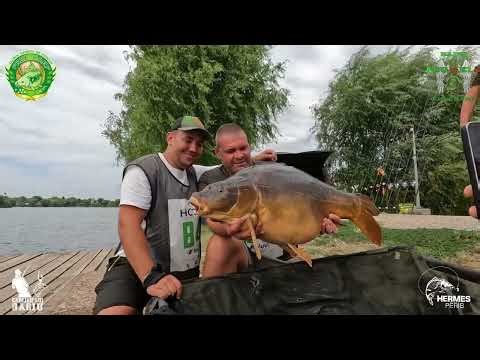 Free Carp Deva, EXCLUSIVE images from the Semi-Final of the AGVPS HOOK CARP BAITS BY GENES 2025 C...