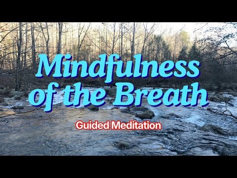 Exploring the breath as an anchor in mindfulness meditation | Beginner-friendly guided practice
