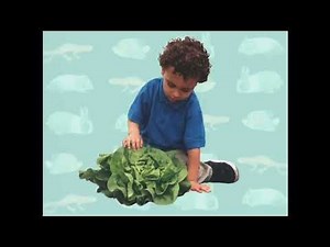 Elmo’s World Pets Quiz