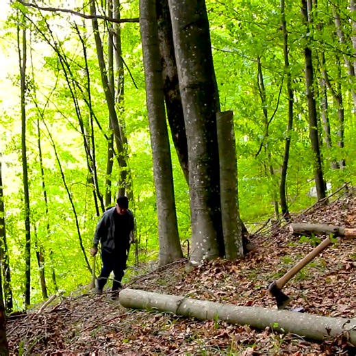 435K views · 7.2K reactions | A comfortable dwelling in the wild woods. | Adventures Bushcraft | Facebook