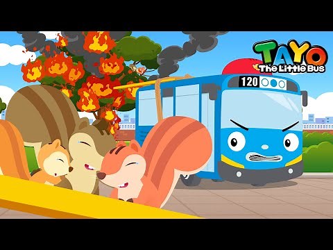 Rescue the Squirrel Family | Tayo Animal Rescue Team | Rescue Team Episodes | Tayo the Little Bus