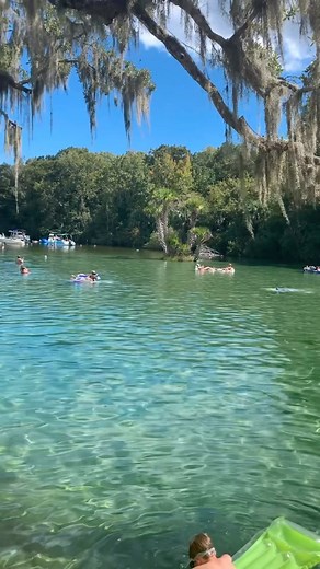 Salt Springs Florida✨ . Located centrally in Florida & only about 2.5 hours from Brevard’s Space Coast. What’s the best Florida Spring you’ve been to? . . . . #florida #floridasprings #spring #explore #explorepage #travel #wildlife #spacecoast #brevardcountyfl #brevard | Jocelyn Sarah