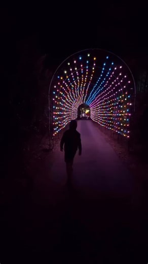 3.3K views · 124 reactions |  Save this to your Holiday Lights...