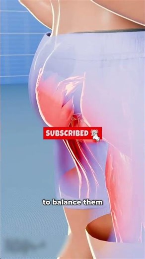 Unlock Your Ultimate Core & Back: The Secret to a Six-Pack & ZERO Strains!